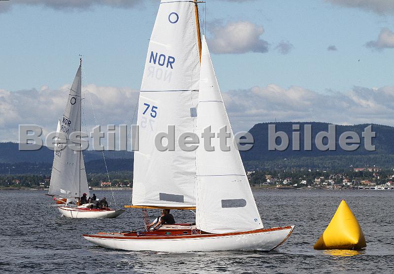 Knarr2011 155.jpg